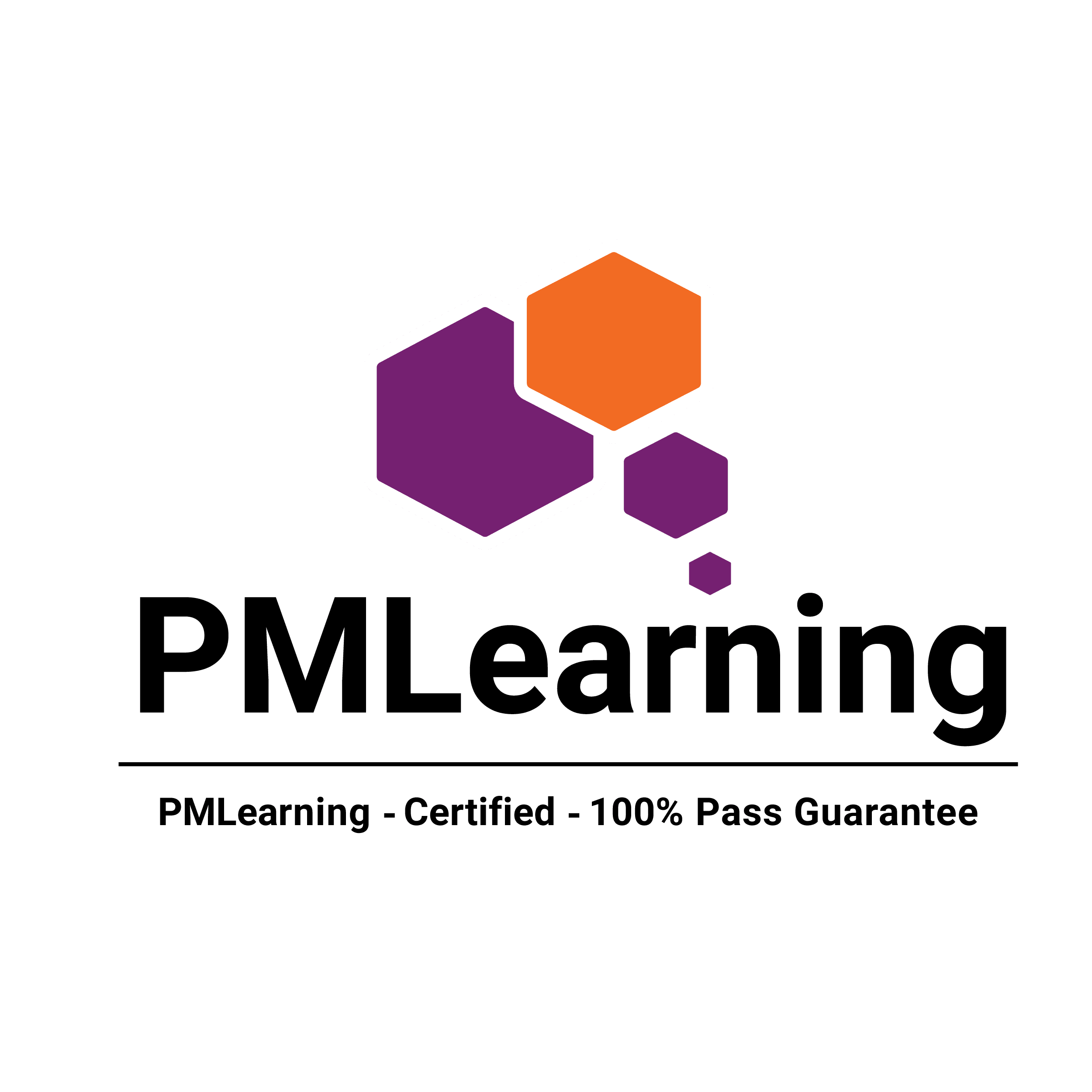 PMLearning Logo